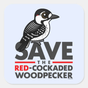Rett den Rotcockaded Woodpecker Quadratischer Aufkleber