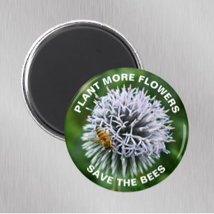 Rett der Bienen Globe Thistle Floral Magnet