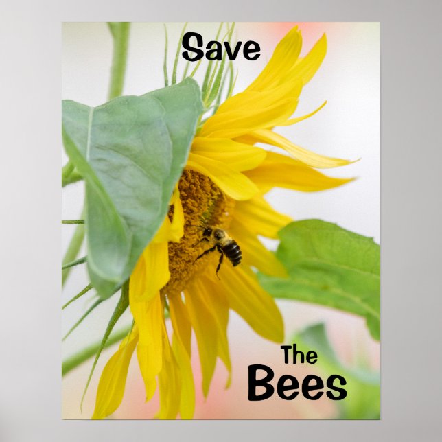 Rett der Bienen Poster (Vorne)