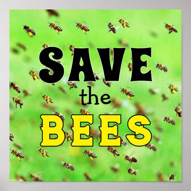 Rett der Bienen Poster (Vorne)