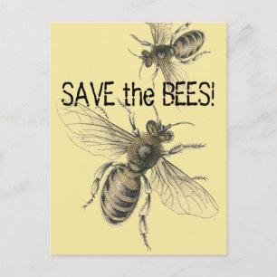 Rett der Bienen Vintage Bienenbilder Postkarte