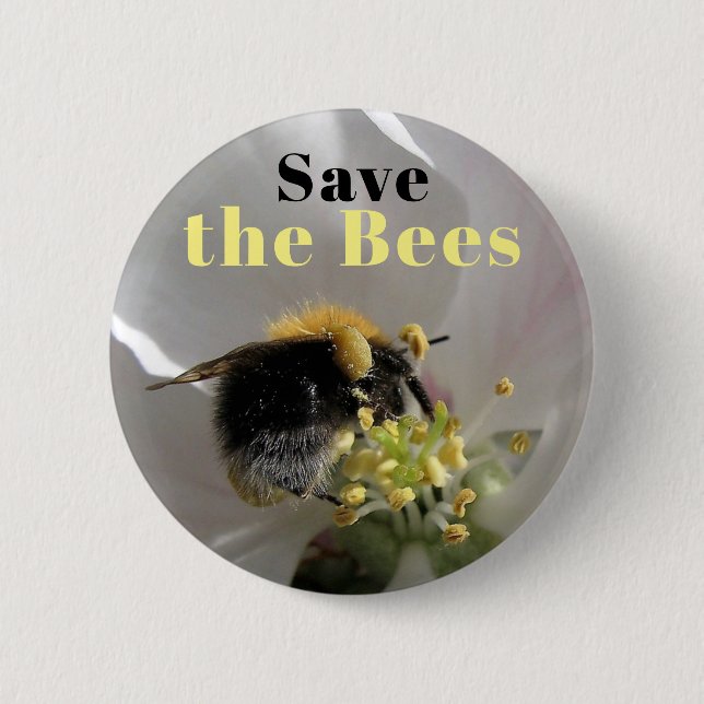 Rett der BienenHummel auf der Schaltfläche "Apple  Button (Vorderseite)