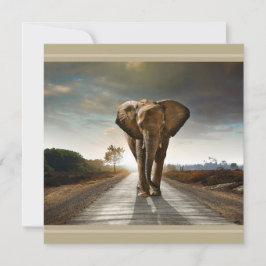 Rett der gefährdeten Elefanten-Hi-Def-Druckkarte