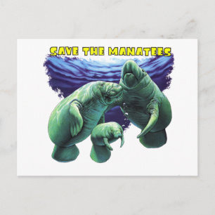 Rett der Manatees Postkarte