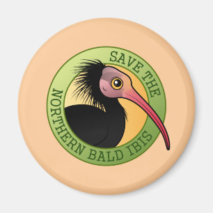 Rett der Nord-Bald-Ibis Magnet