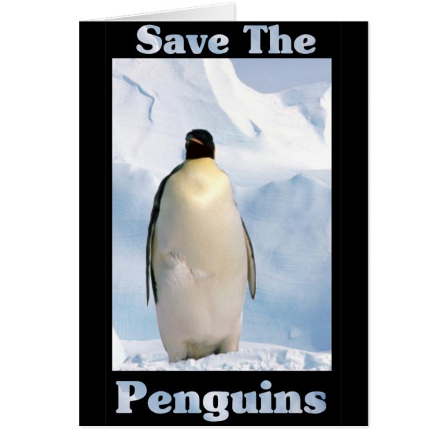Rett der Pinguine (Vorne)