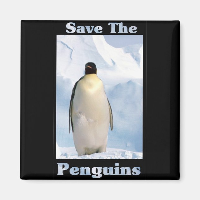 Rett der Pinguine Magnet (Vorne)
