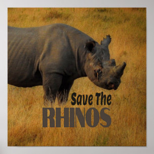 Rett der Rhinos Poster