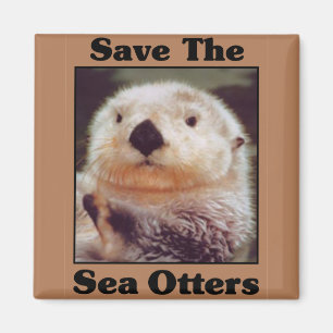 Rett der Sea Otters Magnet