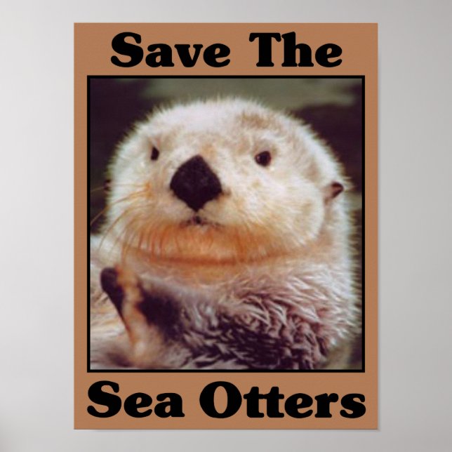 Rett der Sea Otters Poster (Vorne)