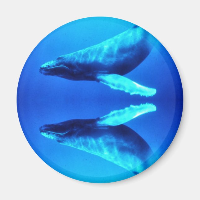 Rett der Wale Magnet (Vorne)