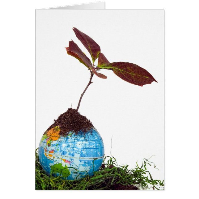 Rett der Welt (Vorne)