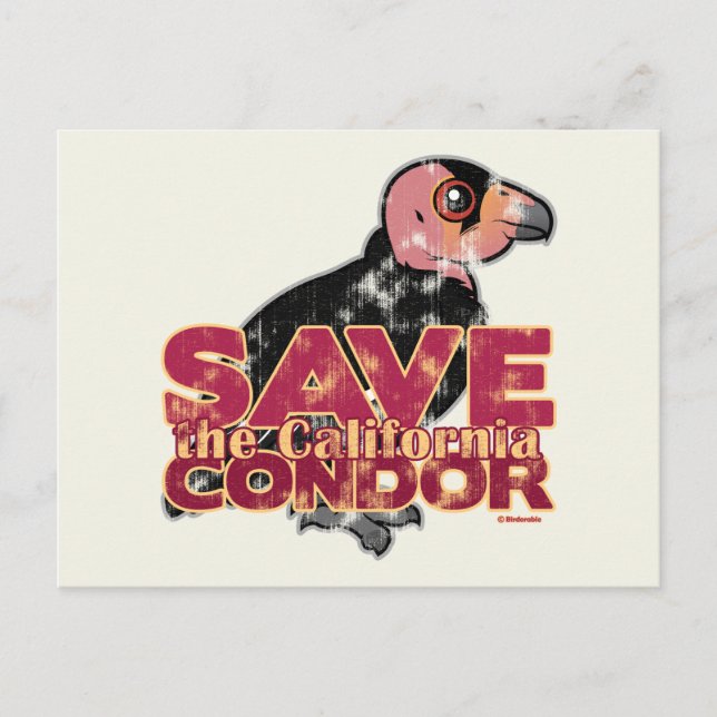 Rett des California Condor Postkarte (Vorderseite)