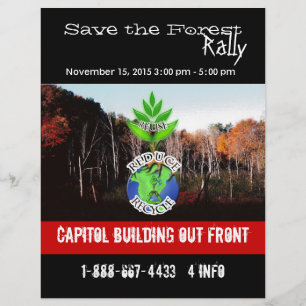 Rett des Flyers Forest Flyer