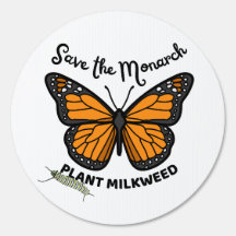 Rett des Monarchen; Pflanze Milkweed / Schmetterli