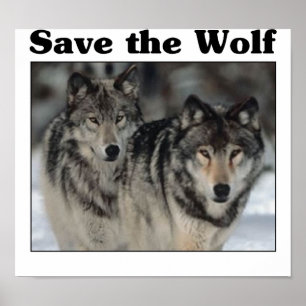 Rett des Wolfs Poster
