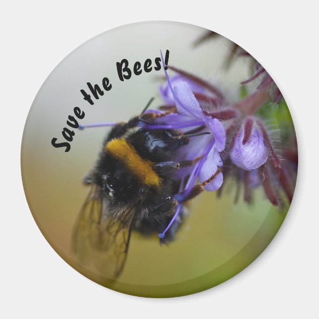 "Rett die Bienen!" Magnet (Vorne)