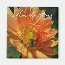 Rett die Bienen... Peach Dahlia Magnet