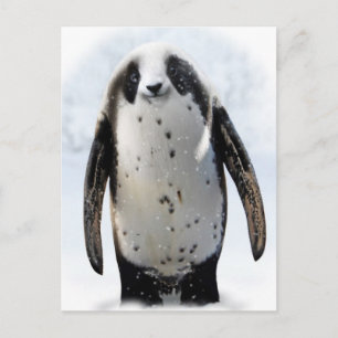 Rett die Panguin! Postkarte