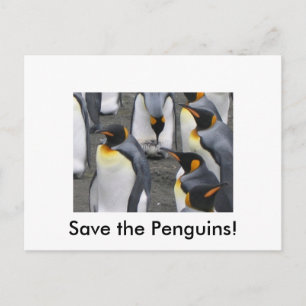 Rett die Pinguine! Postkarte