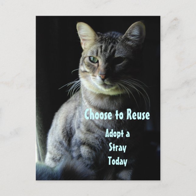 Rett ein Leben! Adoptier dir einen Helfer! Postkarte (Vorderseite)