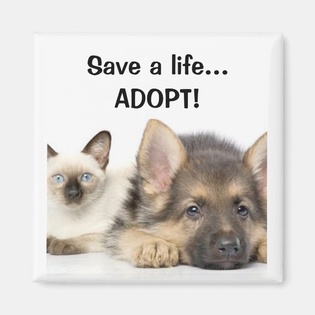 Rett ein Leben... ADOPTIER! Magnet (Vorne)