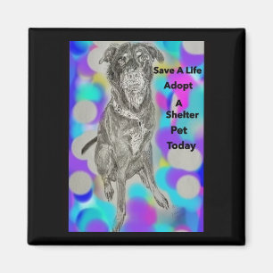 Rett eines Meldungsmagazins für Lebensmitte Magnet