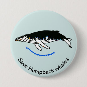 Rett Humpback WHALES - Gefährdete Tiergrafik - Button
