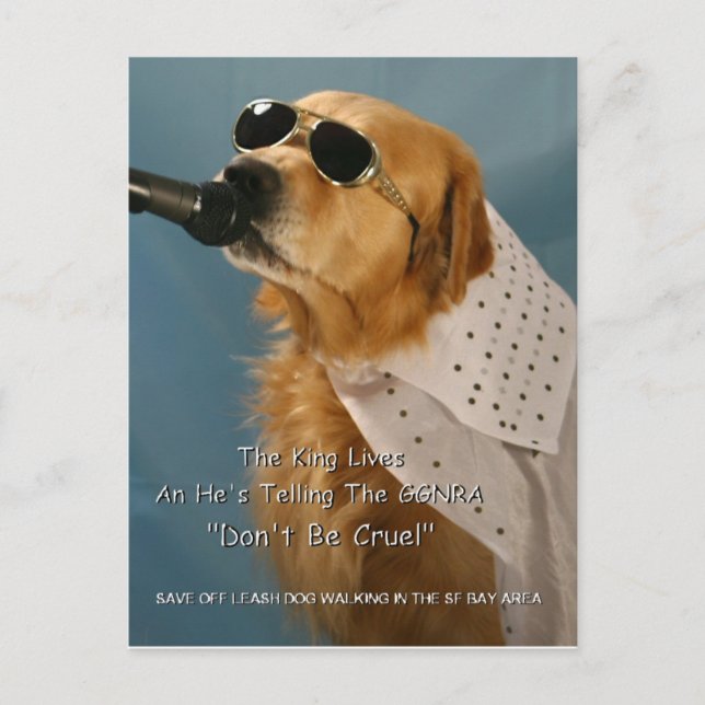 Rett Off-Leash Hund Walking Senator Boxer Postkarte (Vorderseite)