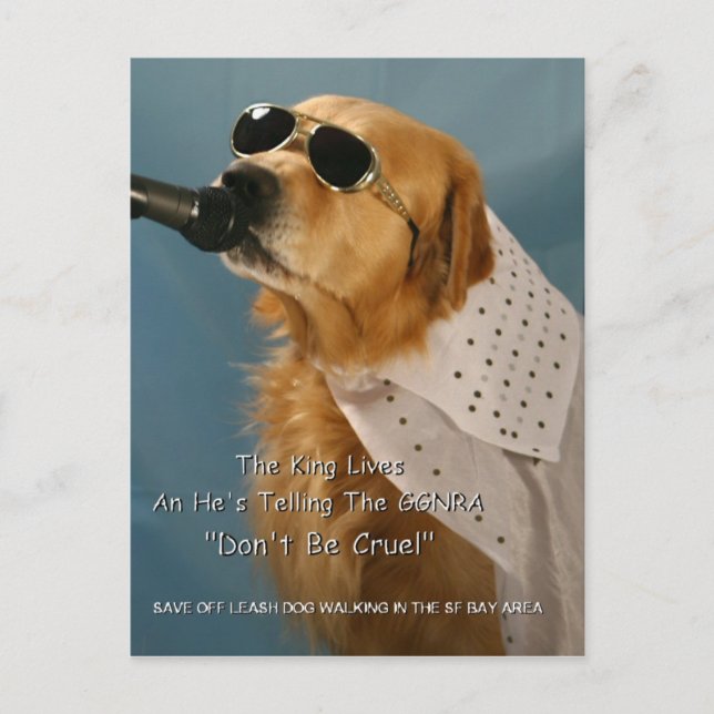 Rett Off-Leash Hund Walking Senator Feinstein Postkarte (Vorderseite)