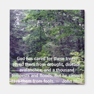 Rett uns von Narren - Magnet