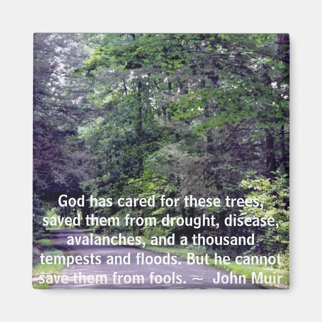 Rett uns von Narren - Magnet (Vorne)