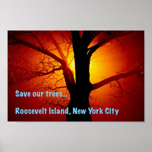Rett unsere Bäume, Roosevelt Island, New York City Poster (Vorne)