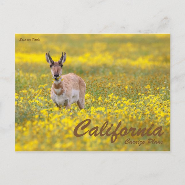 Rett unsere Parks Postkarte (Vorderseite)