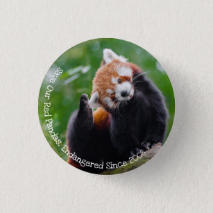 Rett unsere Red Pandas Button