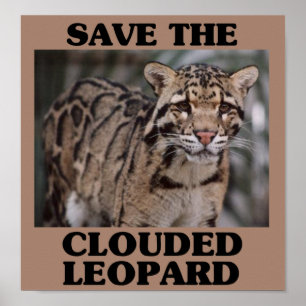 Retten Sie den bewölkten Leoparden Poster