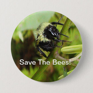 Retten Sie den Bienen Knopf Button