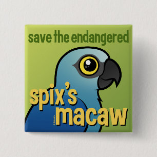 Retten Sie den gefährdeten des Spixs Macaw Button