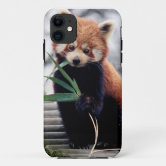 Retten Sie den roter Panda iPhone 5/5S Kasten Case-Mate iPhone Hülle