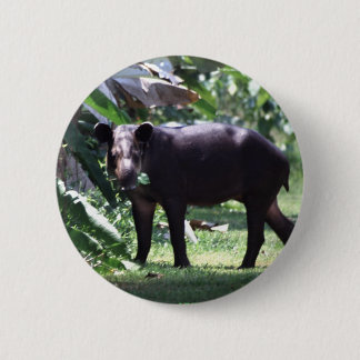 retten Sie den Tapir Button