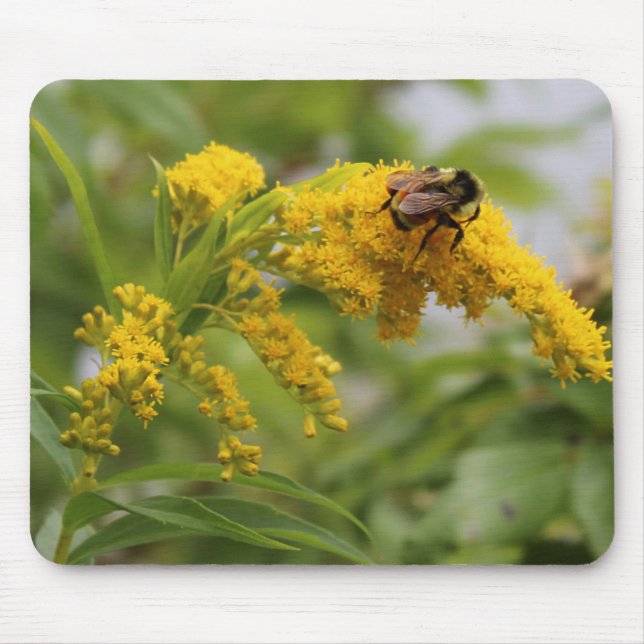 Retten Sie die Bienen Mousepad (Vorne)