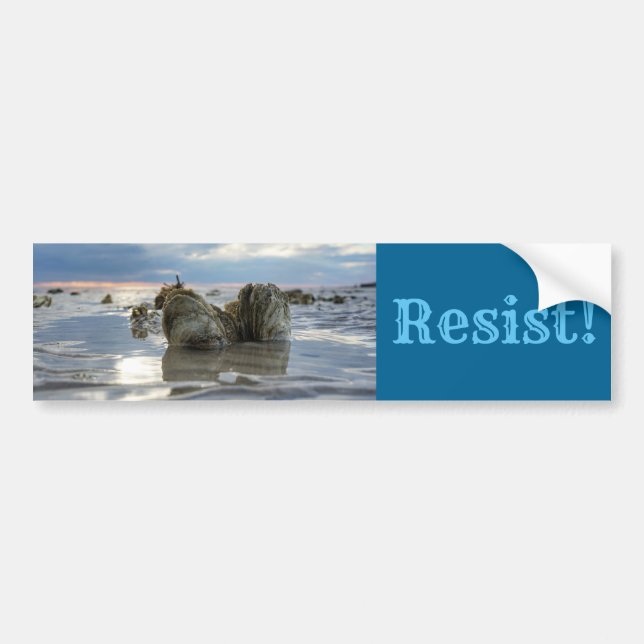 Retten Sie die Chesapeake-Bucht! Autoaufkleber (Vorne)