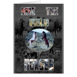 Retten Sie die wilden Pferde