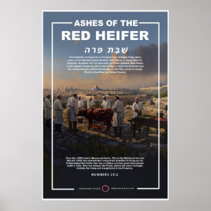 Retter der Roten Heifer Poster