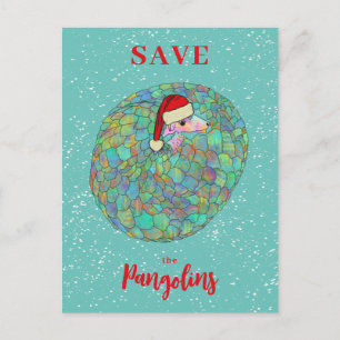 Rettet den Pangolin Süßes Weihnachten