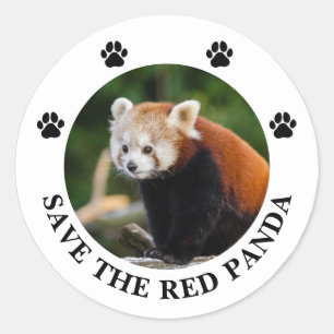 Rettet den Roten Panda Runder Aufkleber