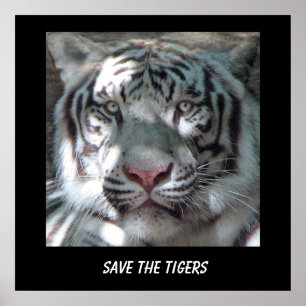 Rettet den Tiger Poster