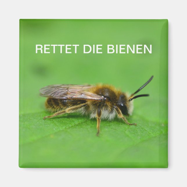 Rettet die Bienen Magnet (Vorne)