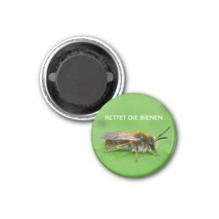 Rettet die Bienen Magnet