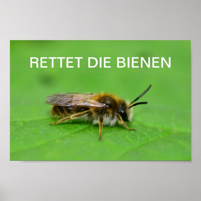 Rettet die Bienen Poster (Vorne)
